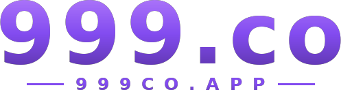 999.co logo